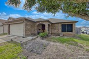 7808 Pecan Heights, San Antonio image