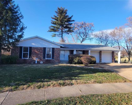 3523 Monsols  Drive, Florissant
