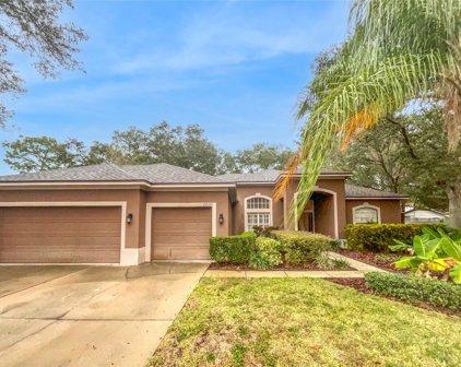 15520 Carrillon Estates Boulevard, Tampa