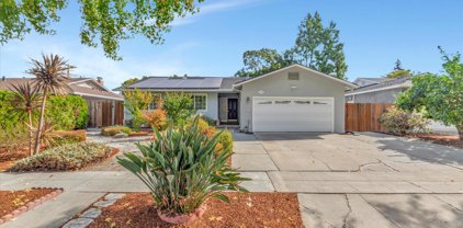 1556 Warbler Avenue, Sunnyvale