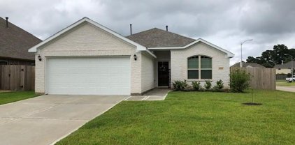 18226 Willow Edge Drive, Tomball