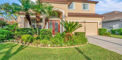 19311 Seacove Drive, Lutz