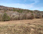 Coop Road, Bell Buckle image