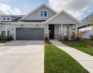 10110 Native Grove Drive, Missouri City image