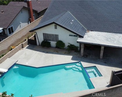1548 Walnut Leaf Drive, Walnut