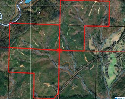 State Lake Road Unit 322 acres, Delta