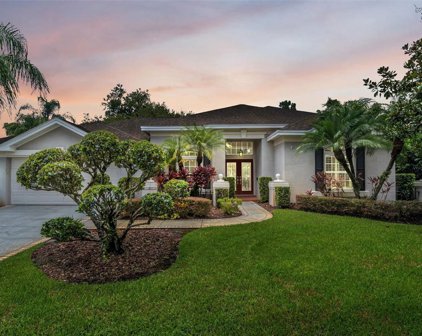 6123 Savoy Circle, Lutz