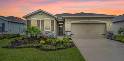 31734 Tansy Bend, Wesley Chapel
