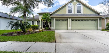 10216 Timberland Point Drive, Tampa