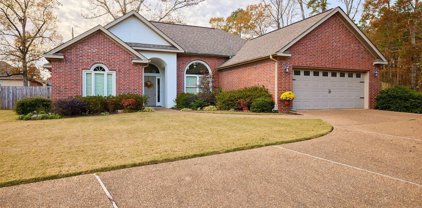 211 Merganser, Hot Springs
