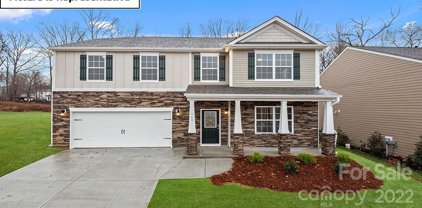 243 Autumn Sage  Drive, Locust