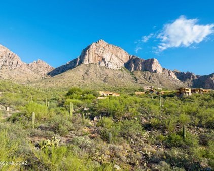 1790 E Calle Del Vaso Unit #14, Oro Valley