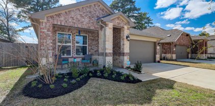 12807 N Winding Pines Drive, Tomball