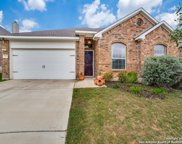 17727 Handies Peak, Helotes image