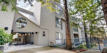 55 W 20th AVE 211, San Mateo