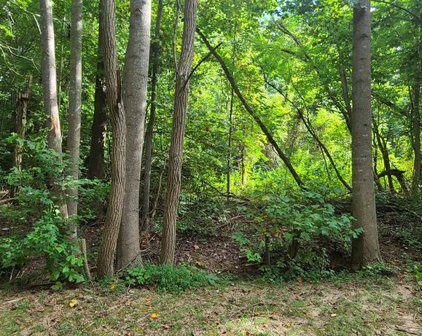 Lot #46 Nomini Court, Montross