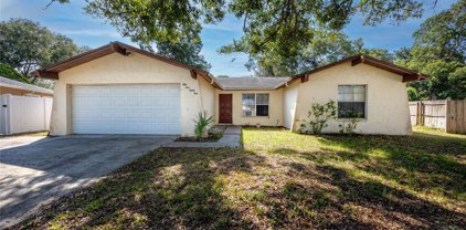 5981 Applecross Street N, St Petersburg