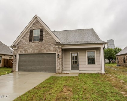 9751 Reunion Court, Walls