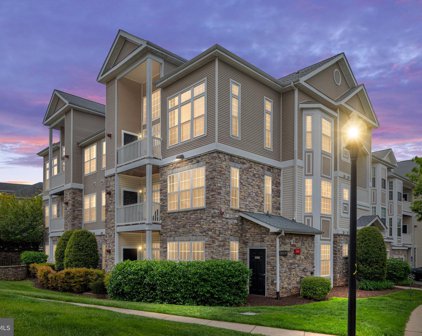 504 Sunset View Ter Se Unit #304, Leesburg