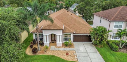 3613 Hickory Hammock Loop, Wesley Chapel