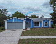 9219 Bay Drive, Spring Hill image