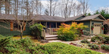 141 Middle Connestee  Trail, Brevard