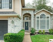 1009 Parrot Trail, Round Rock image