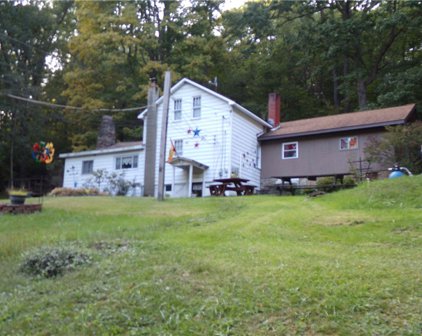 135 Back Creek Road, Saltlick Twp