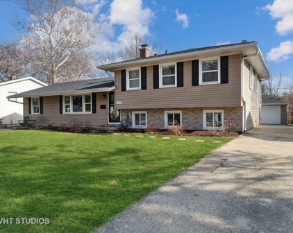 524 Spruce Drive, Naperville
