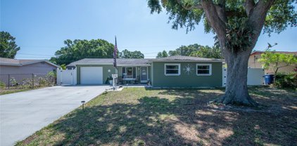 7259 22nd Street N, St Petersburg