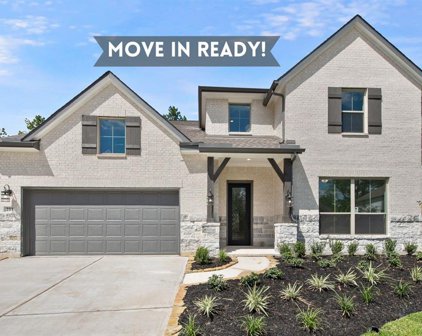 211 Flower Moon Court, Willis