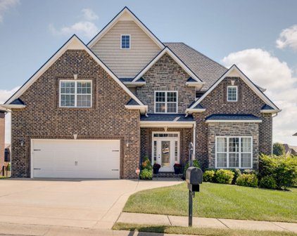 420 Clover Meadows Ct, Clarksville