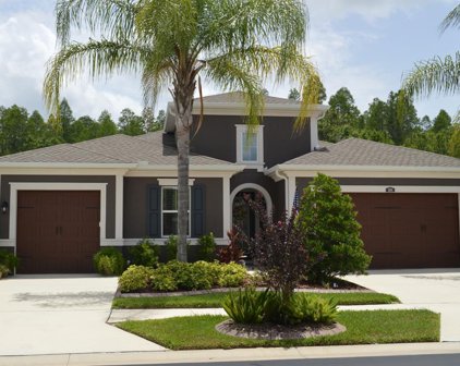 1694 Whitewillow Drive, Wesley Chapel