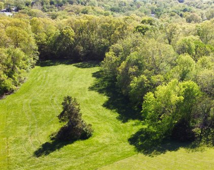 Wild Honey  Drive, Garfield