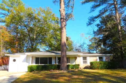 2907 BUTLER MANOR Drive, Hephzibah