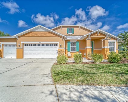 5414 Hammock View Lane, Apollo Beach