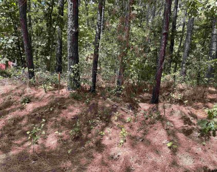 Lot 454 San Saba, Mt Vernon