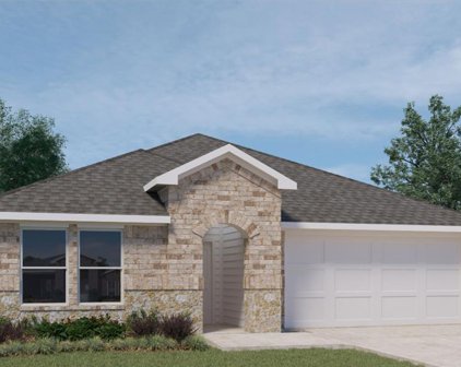 21554 Starry Night Drive, New Caney