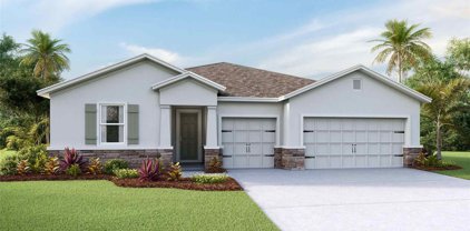 23134 Scaglione Drive, Lutz