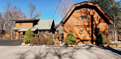 3209 Bear Country Way, Sevierville