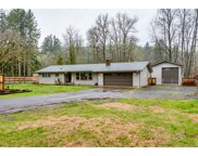 41917 HOLDEN CREEK LN, Springfield image