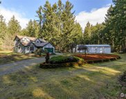 8606 Tiger Lilly Lane, Olympia image