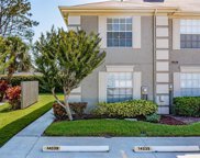 14039 Notreville Way, Tampa image