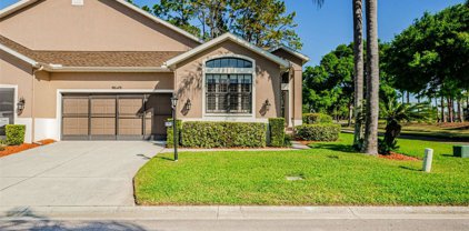 9649 Brookdale Drive, New Port Richey