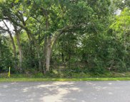 Red Bluff Road, Seabrook image