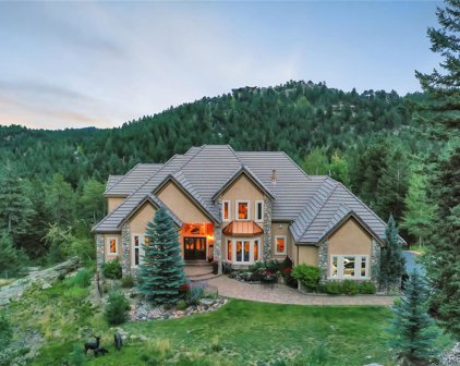 6826 Timbers Drive, Evergreen