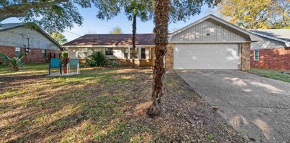407 Shelly, Whitehouse