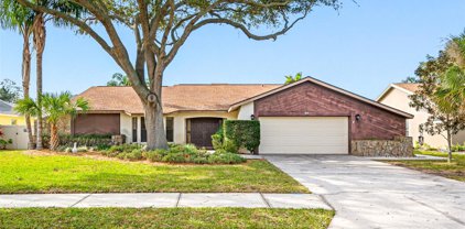 5025 Bridgeport Drive, Safety Harbor