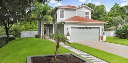 18221 Kentisbury Court, Land O' Lakes
