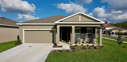 10148 Agave Court, Land O' Lakes